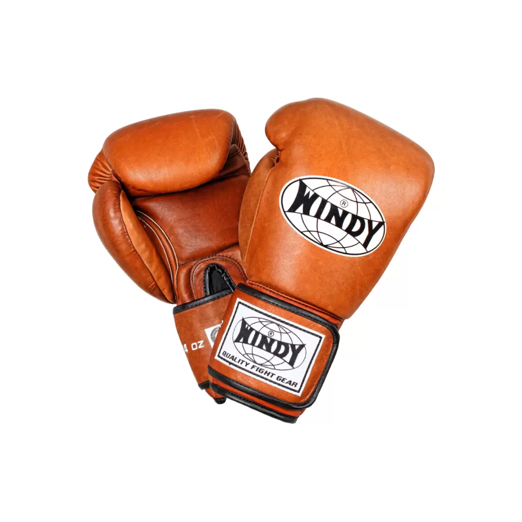 Windy pro line boxing gloves