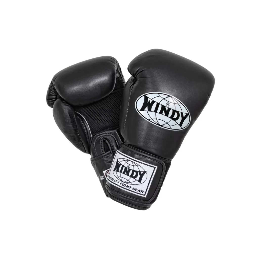 Windy Kickboxing gloves