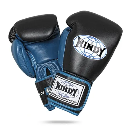 windy Muay Thai gloves