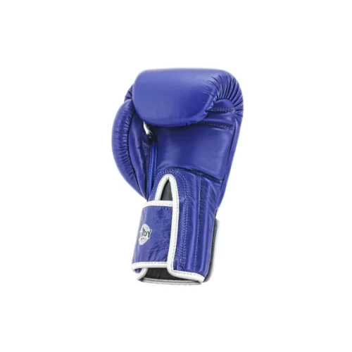 Windy Muay Thai gloves blue