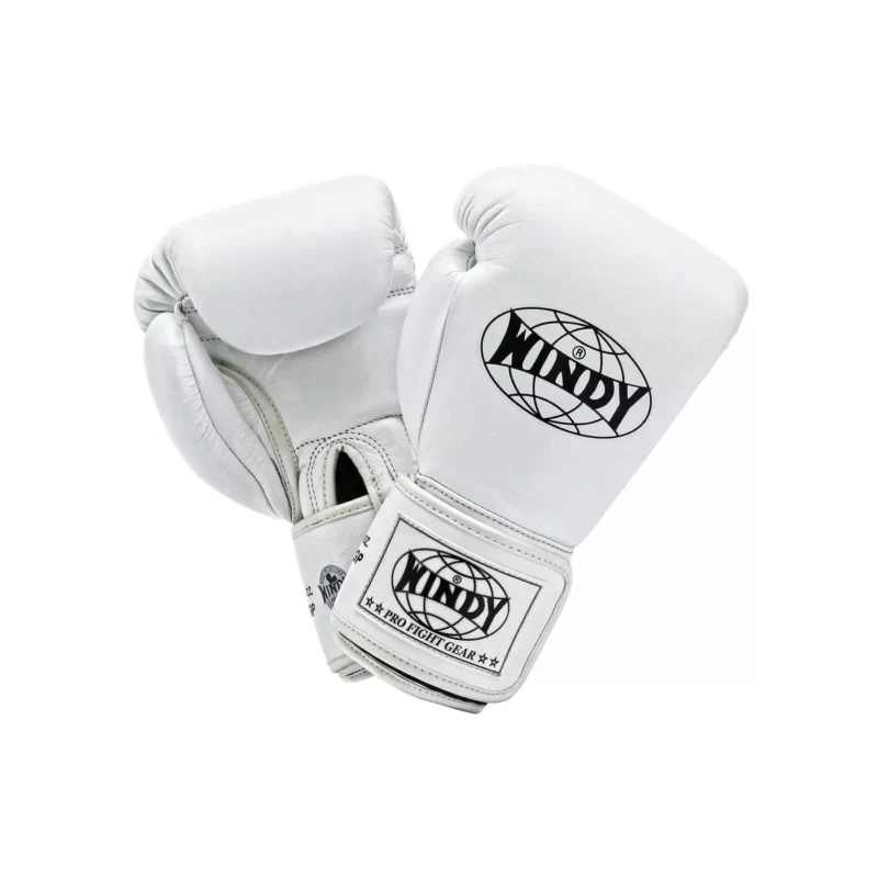 Windy MMA, Muay Thai and Boxing Gloves | Windy Boxing Store USA