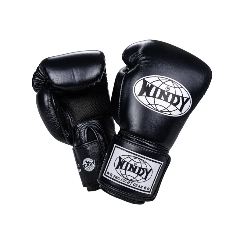 Windy Kickboxing Gloves front and back view