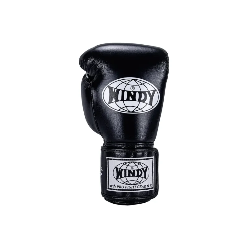 Windy Muay Thai Gloves Black front view