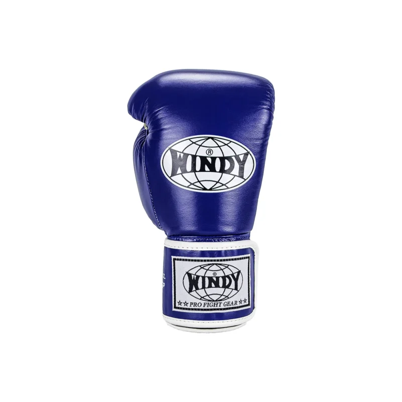 Windy Muay Thai Gloves Blue front view