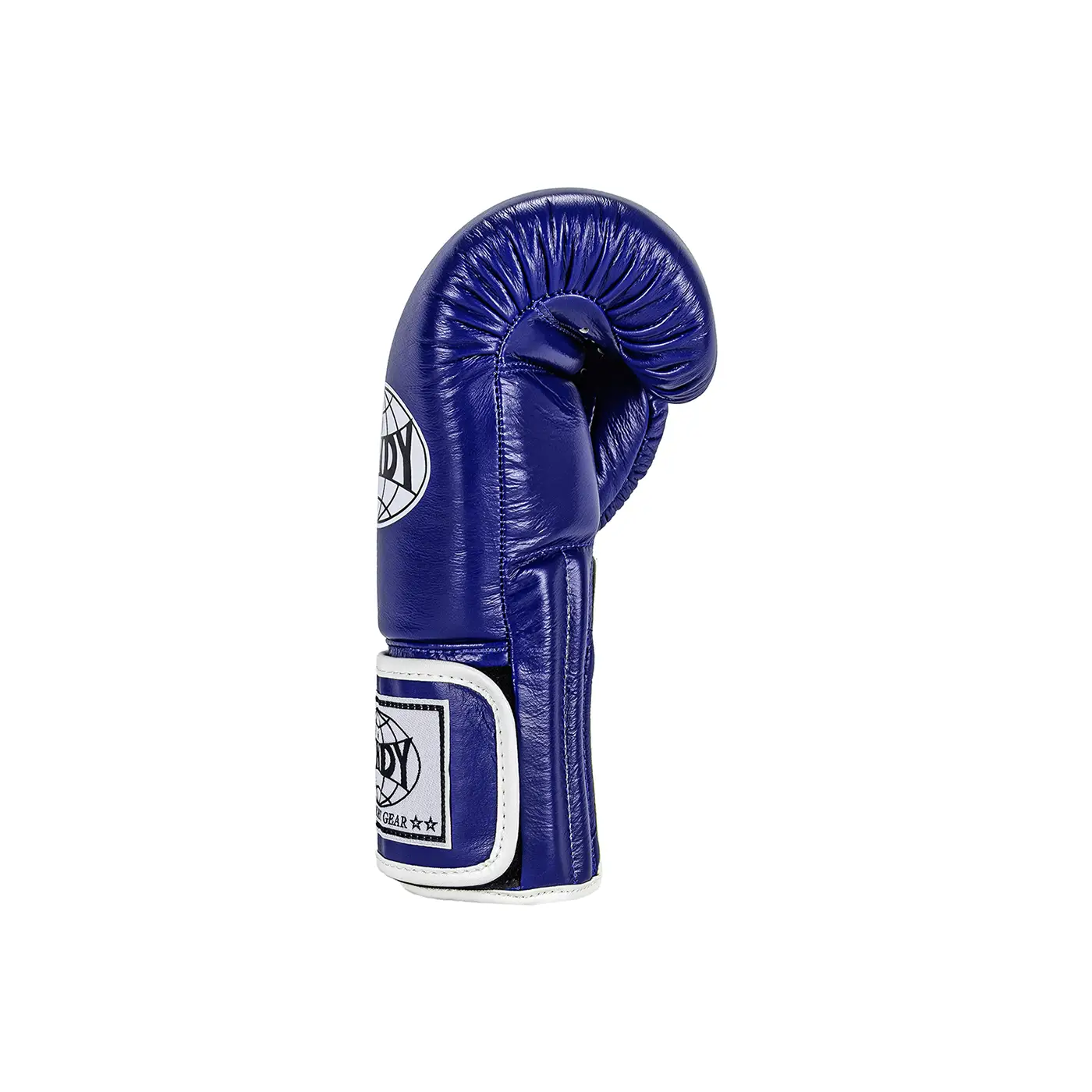 Windy Muay Thai Gloves Blue right side view