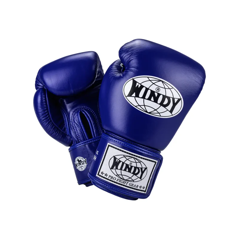 Windy Boxing Gloves Blue front and back view