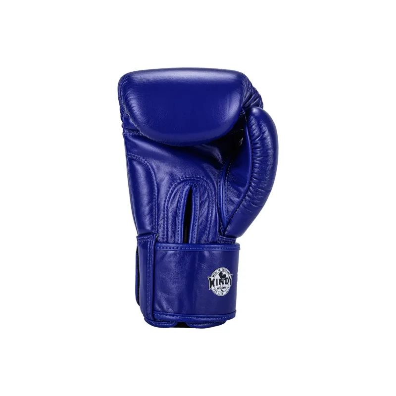 Windy Boxing Gloves Blue back view