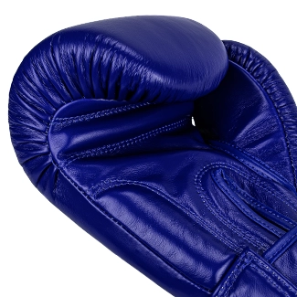 Windy Boxing Gloves Blue padding view