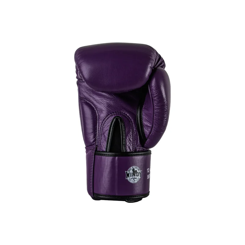 Windy Boxing Gloves Back Right View
