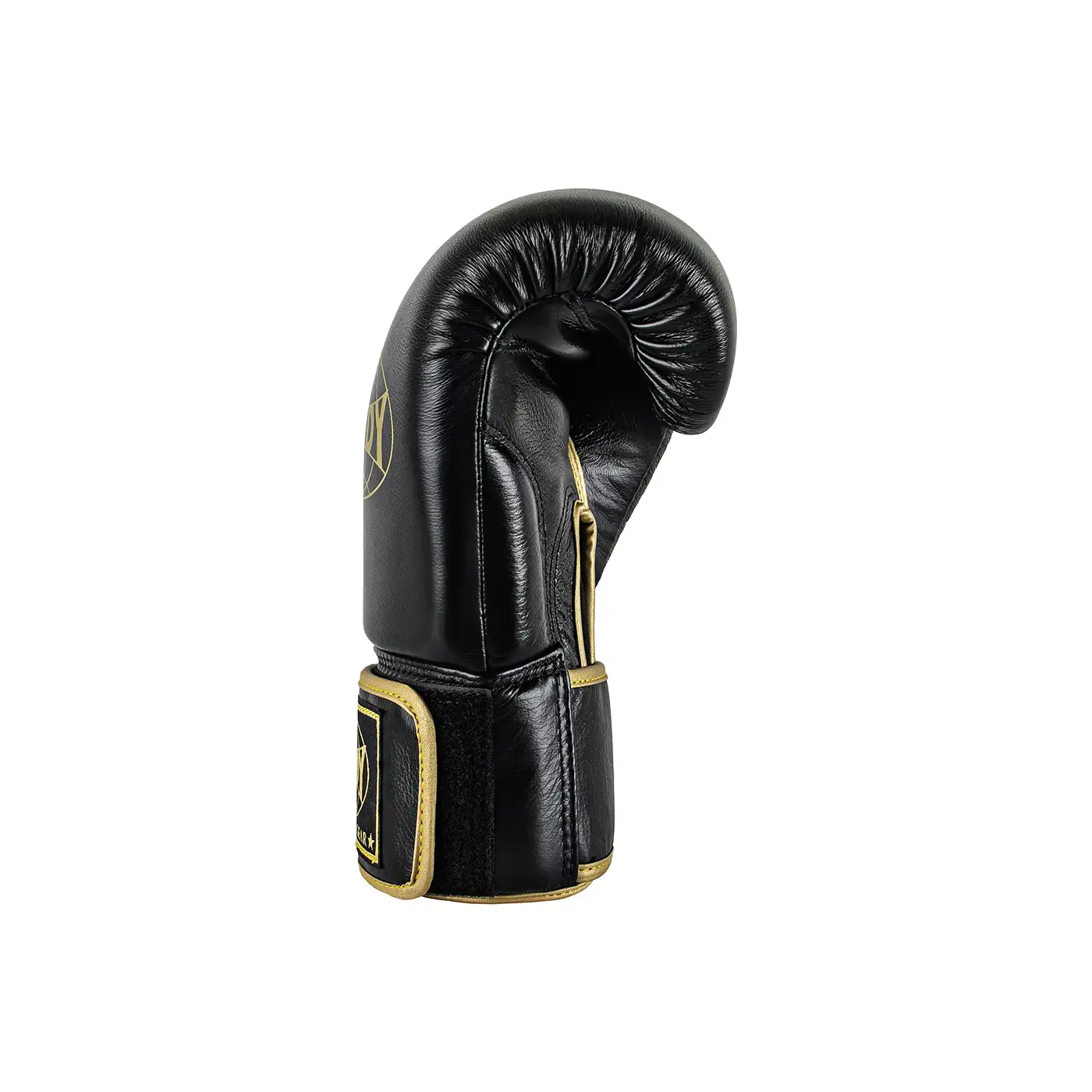 Windy Boxing Gloves Black Gold Right View