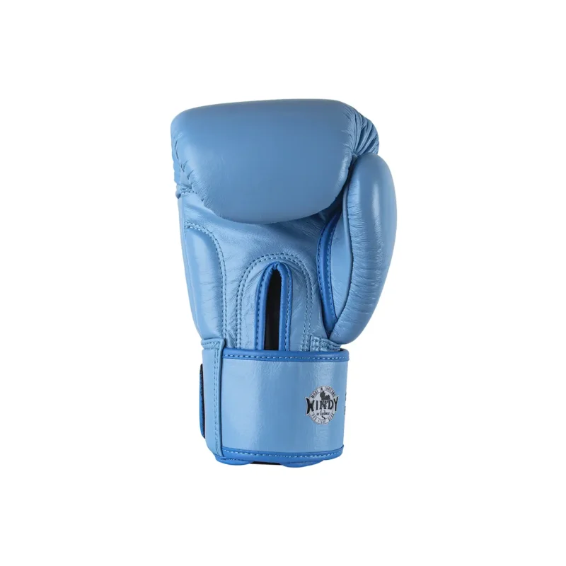 Windy light blue Boxing Gloves Back View