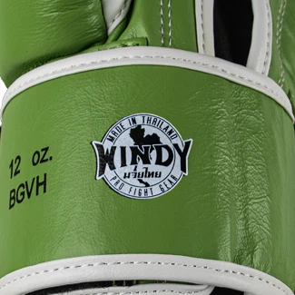Windy Boxing Gloves Light Green Authentic Tag