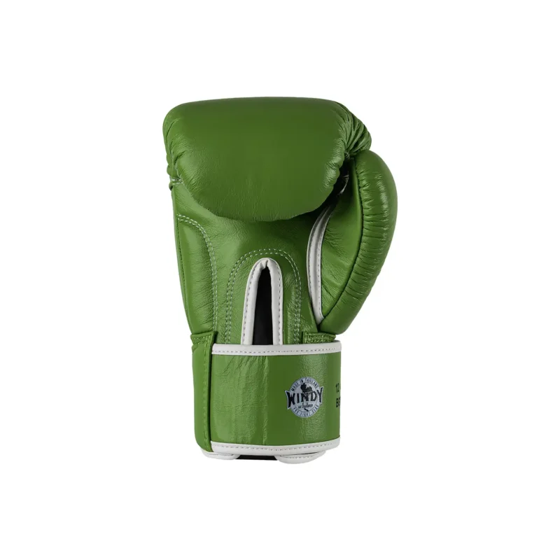 Windy Boxing Gloves Light Green Back View