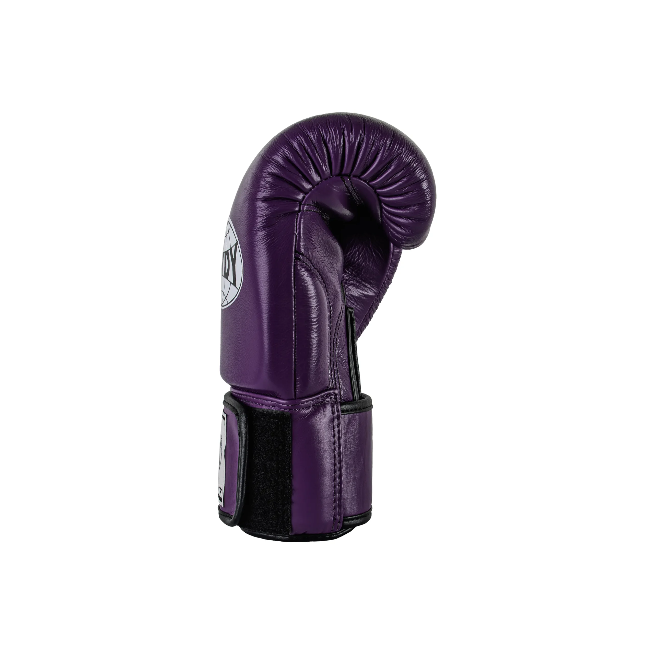 Windy Boxing Gloves Purple Right View