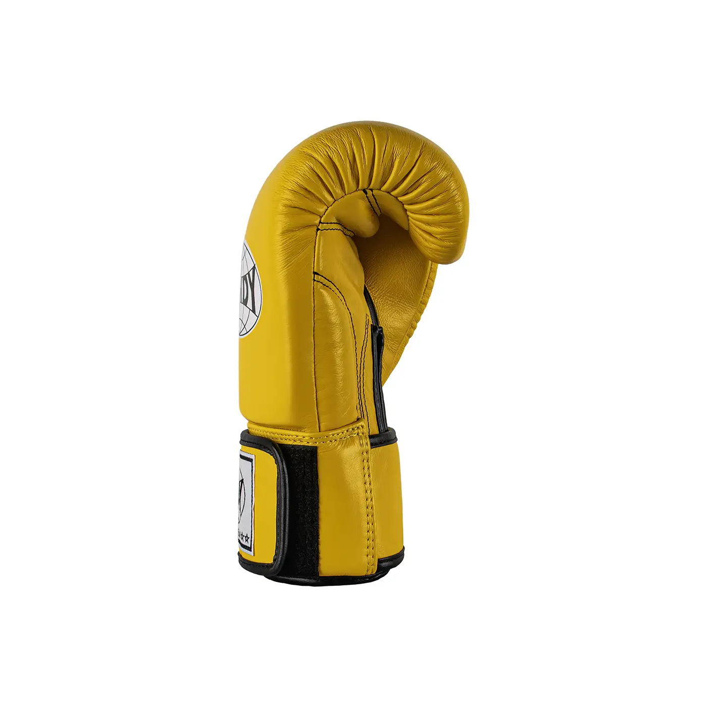 Windy Boxing Gloves Yellow Right View