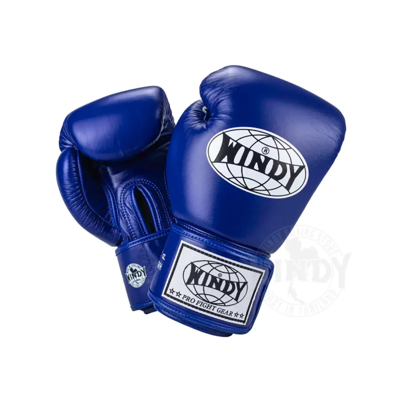 Windy Blue Boxing Gloves front and back view