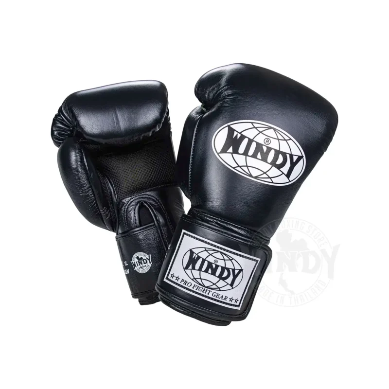 Windy Kickboxing Gloves front and back view