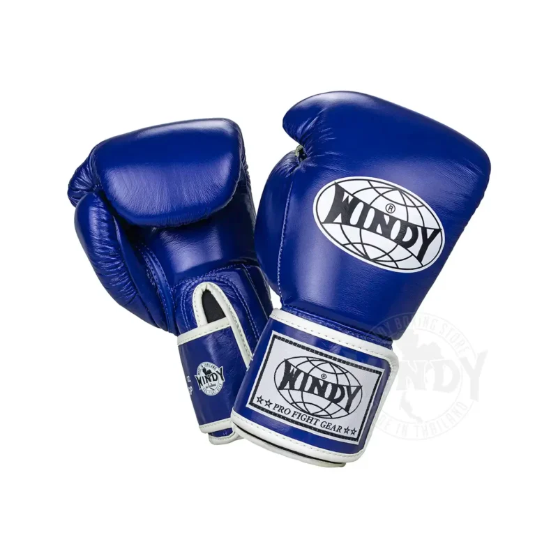 Windy Blue Muay Thai Gloves front and back view