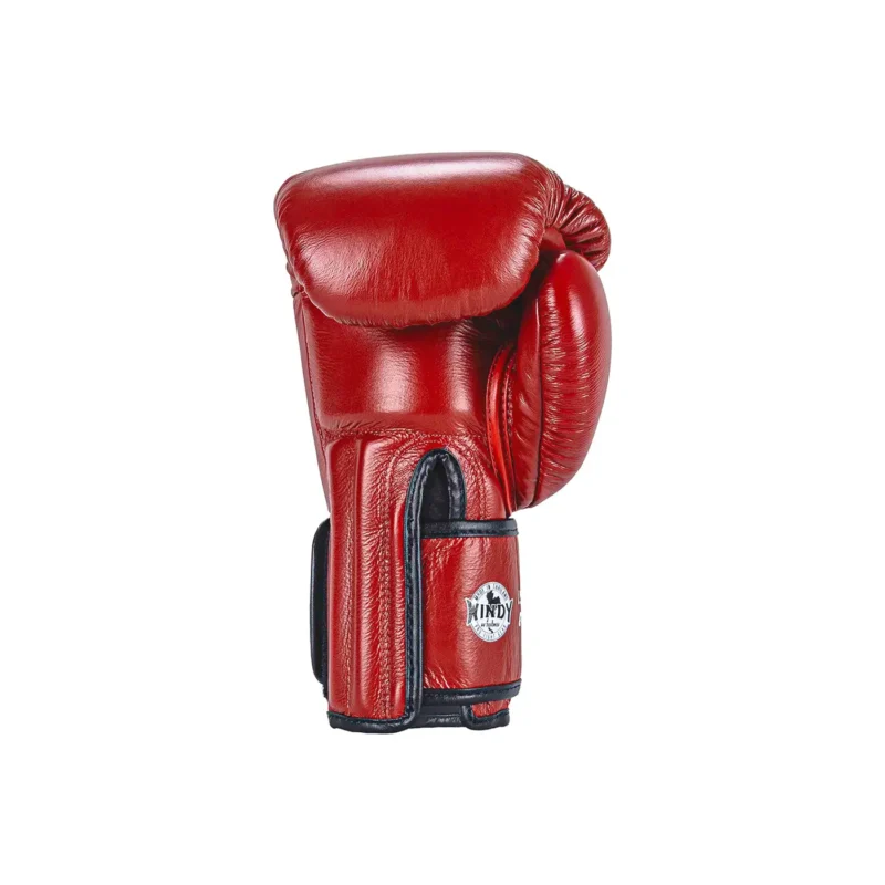 Windy Red Muay Thai Gloves back view
