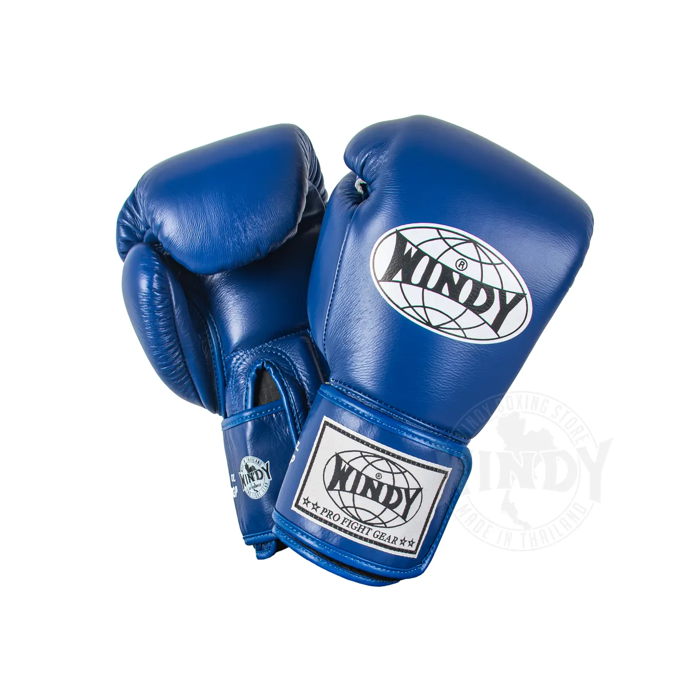 Windy Muay Thai Gloves Blue